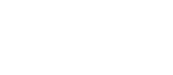 Skatinger supported by Stripe